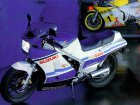 Suzuki RG 500 Gamma